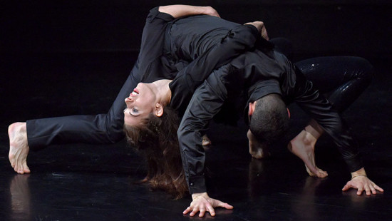 Clébio Oliveira: Carnations and Roses