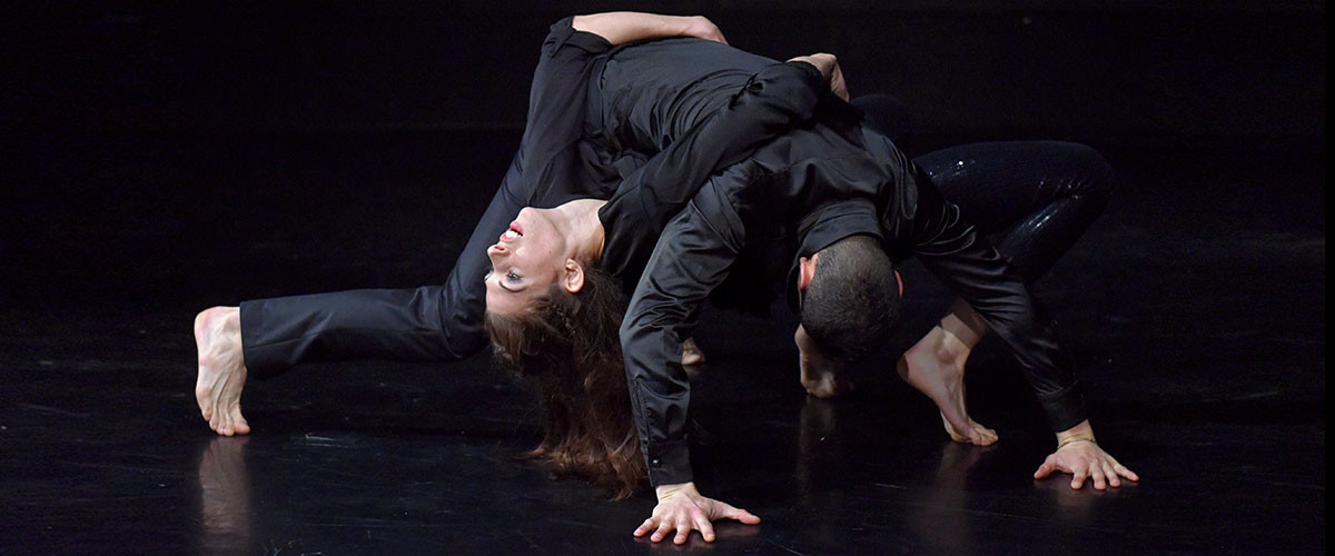 Clébio Oliveira: Carnations and Roses